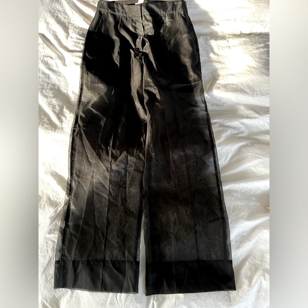 Sheer Pants with black shorts